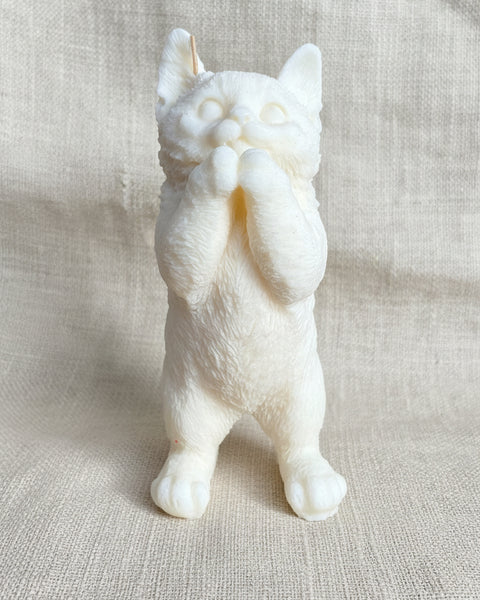 Cat candle