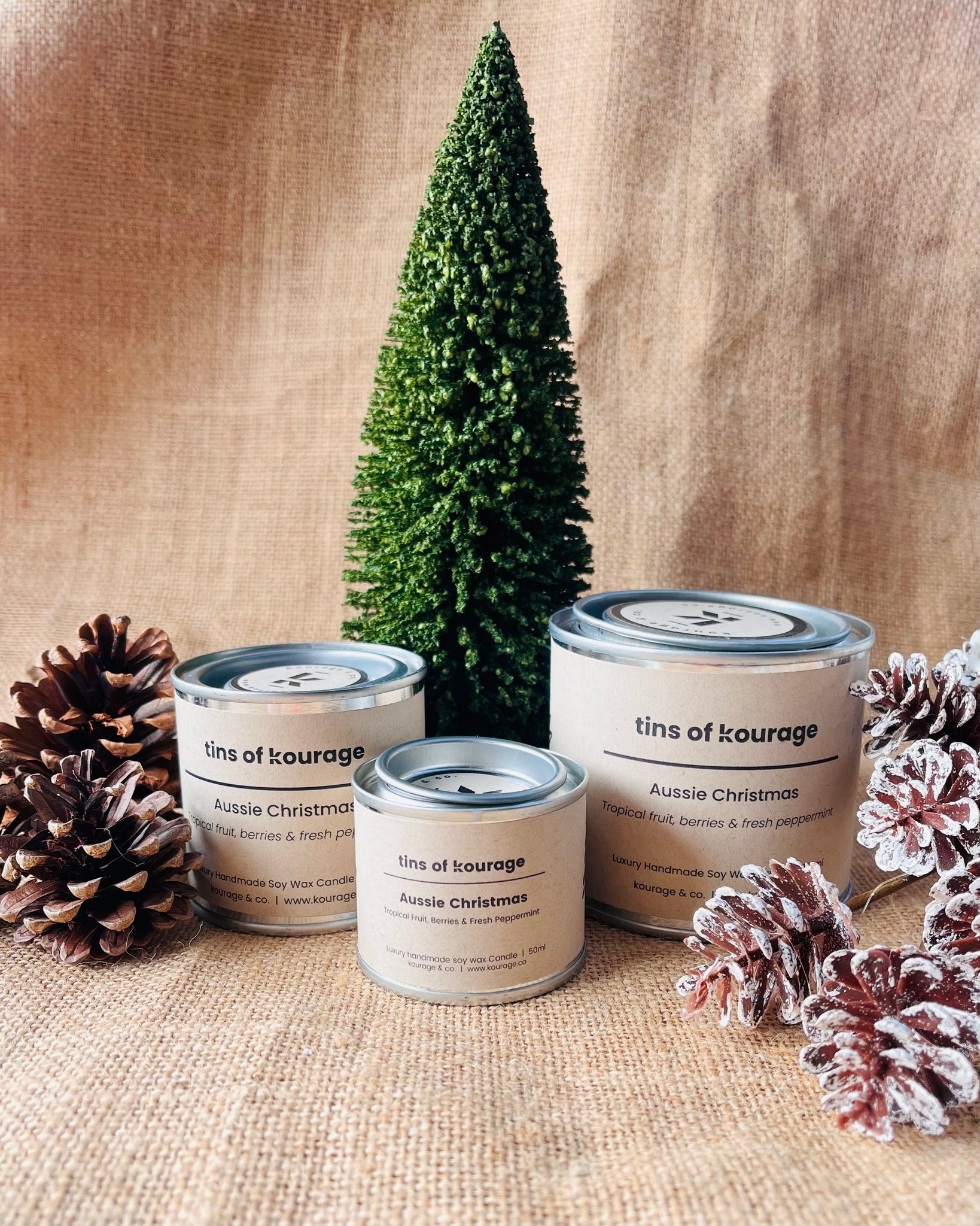 Aussie Christmas Soy Wax Candle
